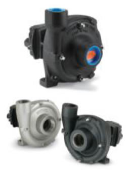 cast-iron-pumps.jpg